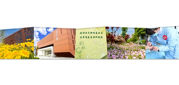 南京中醫(yī)藥大學翰林學院