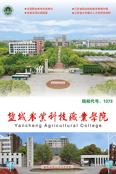 歲月流金 · 青春不散場(chǎng)