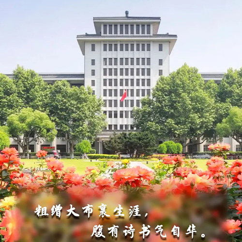 最美大學