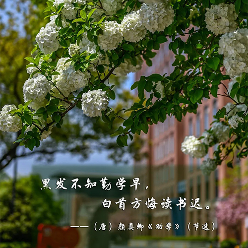 我的大學