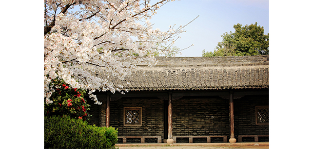 浙江工業(yè)職業(yè)技術(shù)學(xué)院