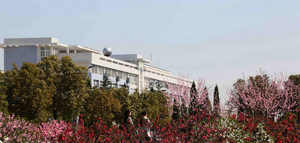蚌埠學院