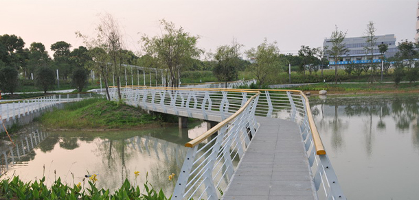 安徽體育運動職業(yè)技術(shù)學(xué)院