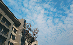 安徽體育運動職業(yè)技術(shù)學(xué)院 - 我的大學(xué)