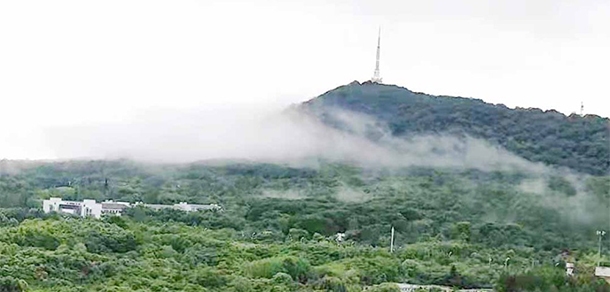 安徽林業(yè)職業(yè)技術(shù)學院