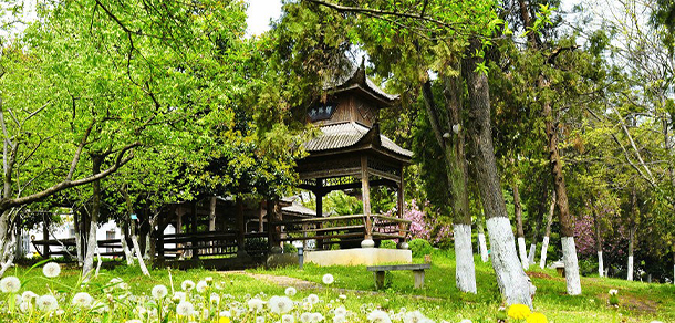 安徽林業(yè)職業(yè)技術(shù)學院