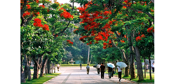 廈門大學(xué)