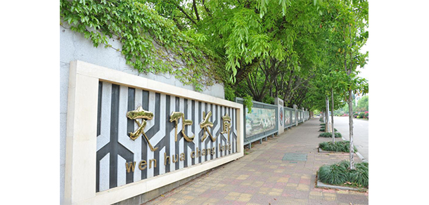 龍巖學院
