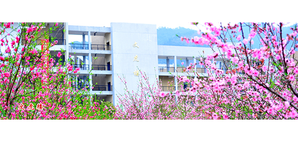 龍巖學院