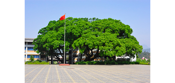 龍巖學院