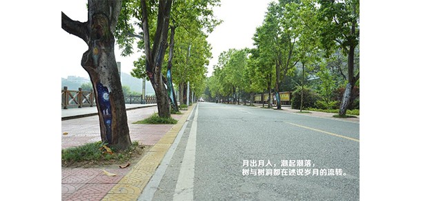 福建農(nóng)林大學