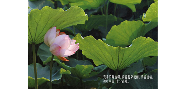 福建農(nóng)林大學