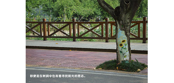 福建農(nóng)林大學