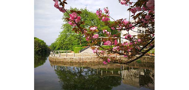 贛東學院 - 最美院校
