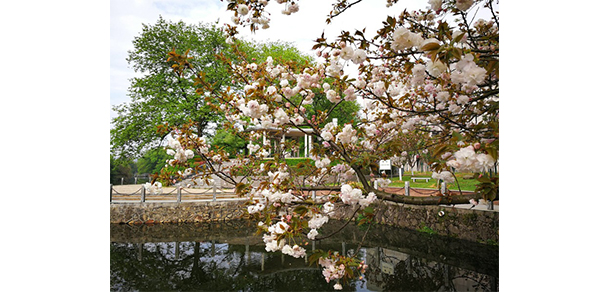 贛東學(xué)院