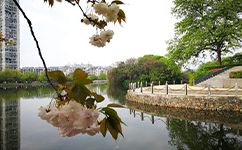 贛東學院 - 我的大學