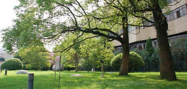景德鎮(zhèn)陶瓷大學(xué)科技藝術(shù)學(xué)院 - 最美院校