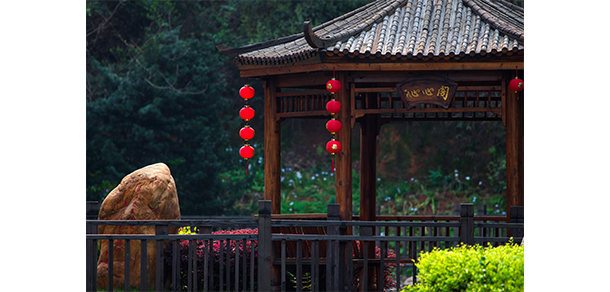 江西婺源茶業(yè)職業(yè)學院