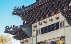 山東大學 - 我的大學
