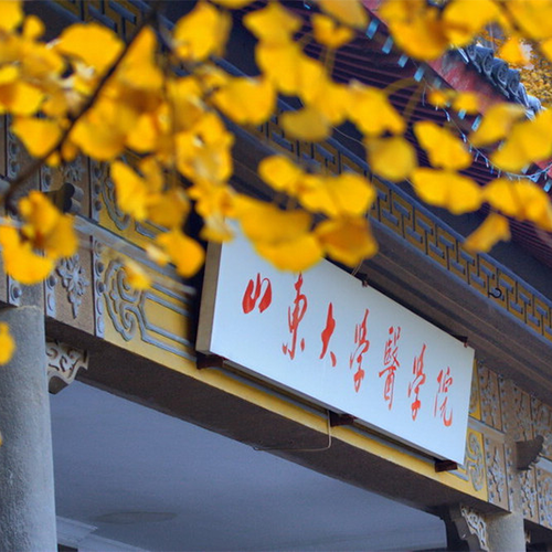 最美大學