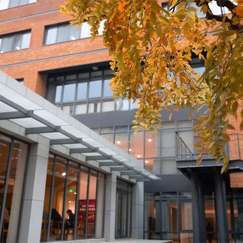 最美大學