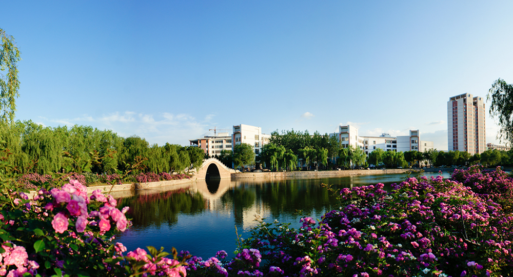 青島農(nóng)業(yè)大學：校名題寫 / ?；赵O(shè)計