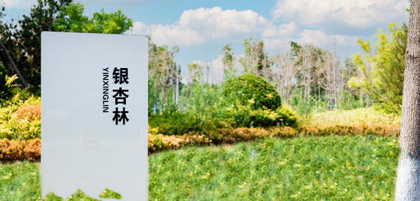 山東第一醫(yī)科大學