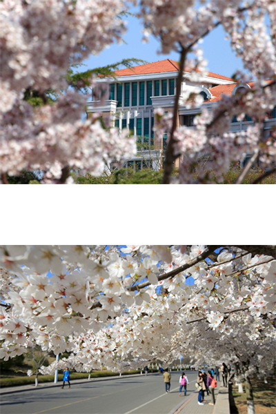中國海洋大學(xué)