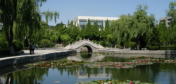 魯東大學