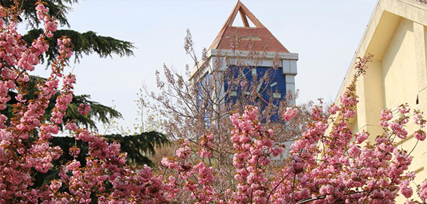 魯東大學