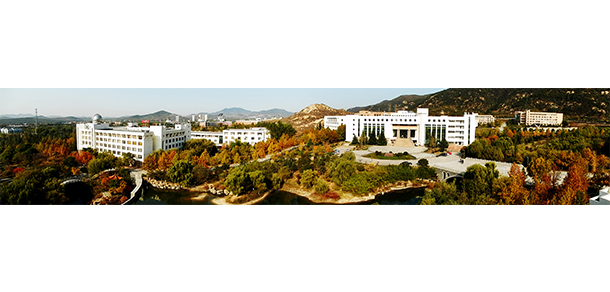 泰山學(xué)院