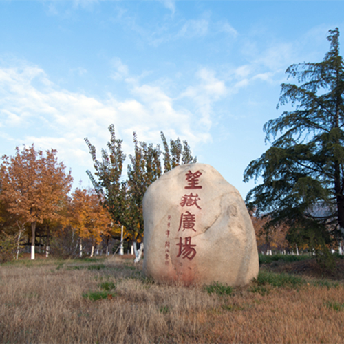 我的大學(xué)