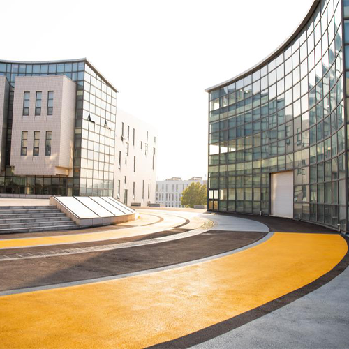 我的大學(xué)
