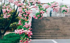 文化標(biāo)識(shí)：校名題寫 / ?；赵O(shè)計(jì)