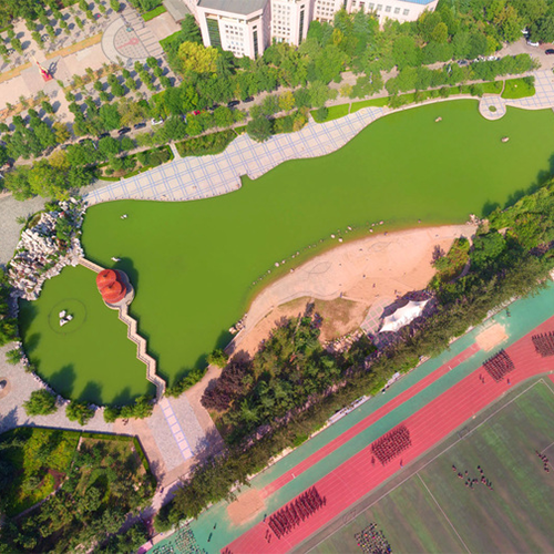 最美大學(xué)
