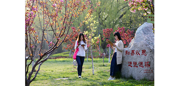 山東工商學院 - 最美大學
