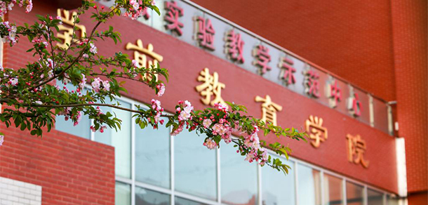 山東英才學(xué)院