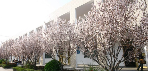 山東英才學(xué)院