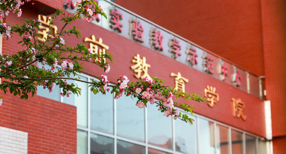 山東英才學(xué)院：校名題寫 / ?；赵O(shè)計