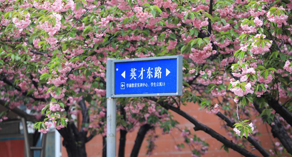 我的大學(xué) - 中國最美大學(xué)