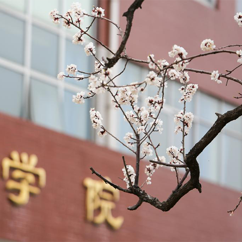 大學(xué)簡介