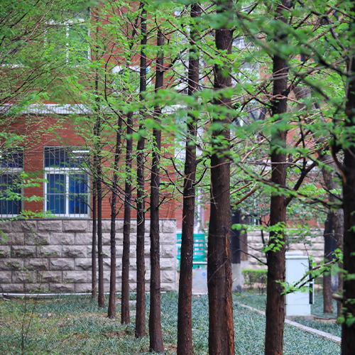 最美大學(xué)