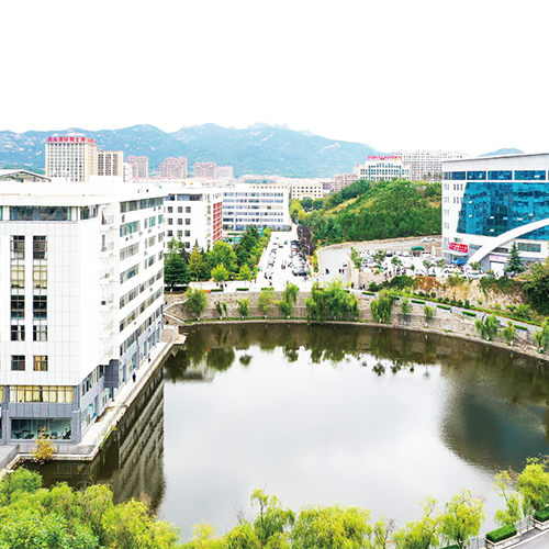 大學(xué)簡介