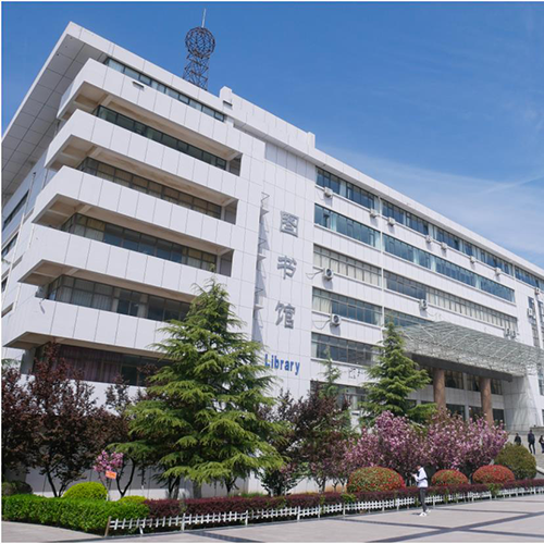 我的大學(xué)