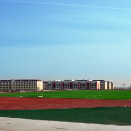 大學簡介