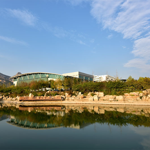 最美大學