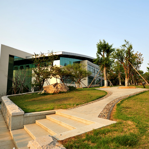 我的大學
