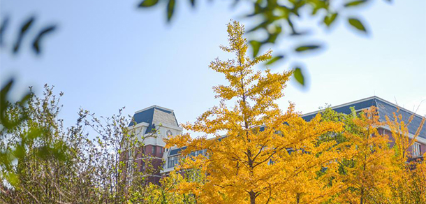 山東財經(jīng)大學燕山學院