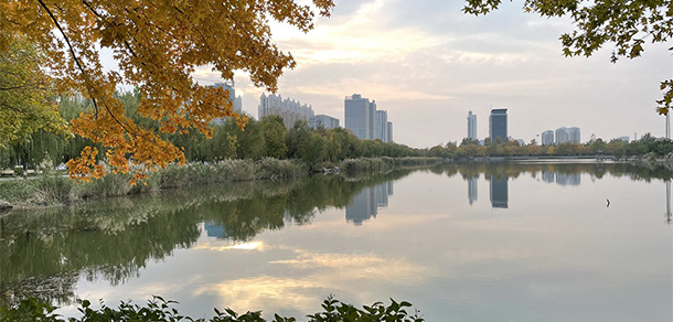 山東石油化工學(xué)院