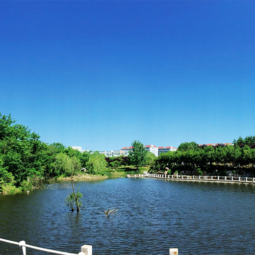 最美大學(xué)